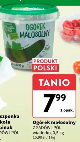 Intermarche Ogórek małosolny polski Z Sadów i Pól oferta