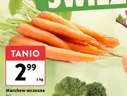 Intermarche Marchew wczesna - luz Intermarche oferta