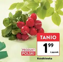 Intermarche Rzodkiewka polska - pęczek Intermarche oferta
