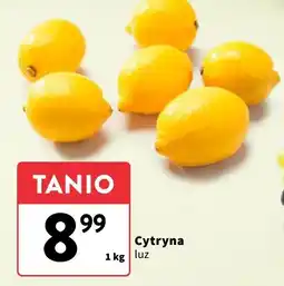 Intermarche Cytryna - luz Intermarche oferta