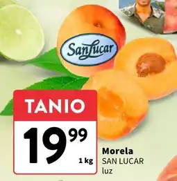 Intermarche Morela San Lucar luz oferta
