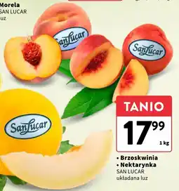 Intermarche Brzoskwinia / nektarynka San Lucar oferta