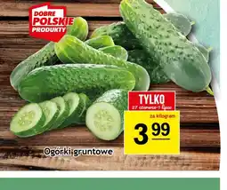 Gram Market Ogórki gruntowe oferta