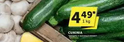ABC Cukinia ABC oferta