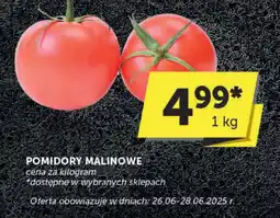 Groszek Pomidory malinowe Groszek oferta