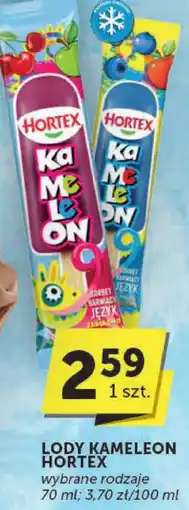 ABC Lody Kameleon Hortex oferta