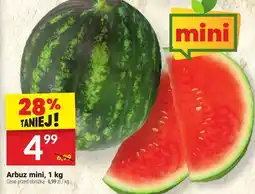 Twój Market Arbuz mini 1 kg oferta