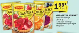ABC Galaretka Winiary oferta