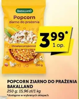 Groszek Popcorn ziarno do prażenia Bakalland oferta
