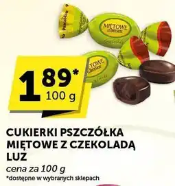 Groszek Cukierki Pszczółka miętowe z czekoladą Luz oferta