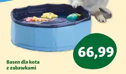 Maxi Zoo Basen dla kota z zabawkami oferta