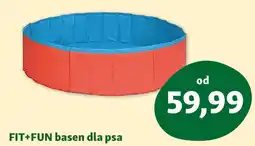 Maxi Zoo FIT+FUN basen dla psa oferta