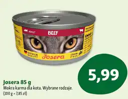 Maxi Zoo Josera mokra karma dla kota oferta