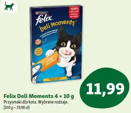Maxi Zoo Felix deli moments przysmaki dla kota oferta