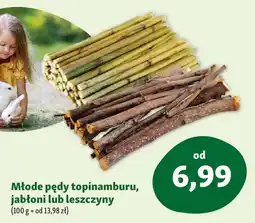 Maxi Zoo Młode pędy topinamburu, jabłoni lub leszczyny oferta