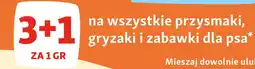 Maxi Zoo Na wszystkie przysmaki, gryzaki i zabawki dla psa oferta