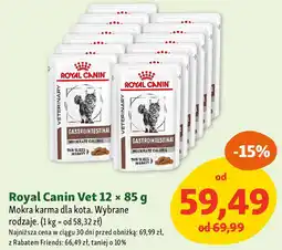 Maxi Zoo Royal Canin Vet Mokra karma dla kota oferta