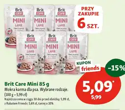 Maxi Zoo Brit Care Mini Mokra karma dla psa oferta