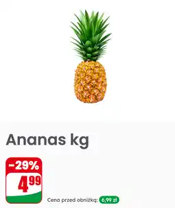 Dino Ananas oferta