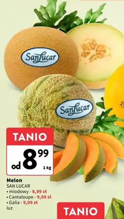 Intermarche Melon Cantaloupe San Lucar oferta