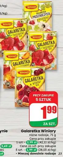 Dino Galaretka Winiary różne rodzaje oferta