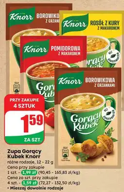 Dino Zupa Gorący Kubek Knorr różne rodzaje oferta