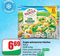 Dino Zupa wiosenna Hortex oferta