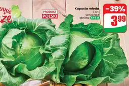 Dino Kapusta młoda Dino oferta
