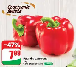 Dino Papryka czerwona Dino oferta