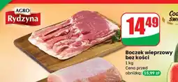 Dino Schab bez kości Agro Rydzyna oferta