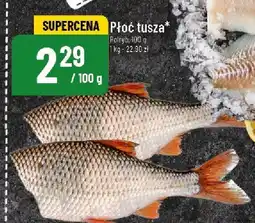 Polomarket Płoć tusza POLOmarket oferta
