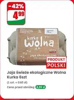 Dino Jajka ekologiczne Wolna Kurka 6szt oferta