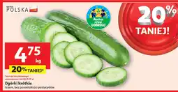 Auchan Ogórki krótkie Auchan oferta