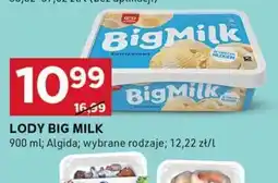 Lody Big Milk