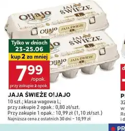 Jaja świeże Oljajo