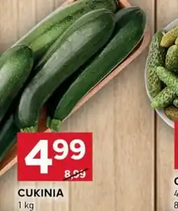 Stokrotka Optima Cukinia oferta