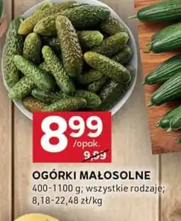 Stokrotka Optima Ogórki małosolne oferta