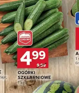 Stokrotka Optima Ogórki szklarniowe oferta