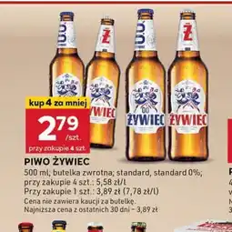 Stokrotka Optima Piwo Zywiec oferta
