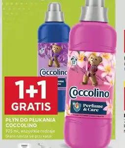 Stokrotka Optima Płyn do płukania Coccolino oferta