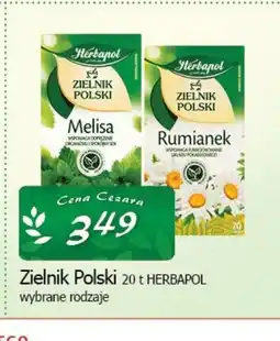 Cezar Delikatesy Zielnik Polski Herbapol oferta