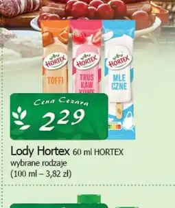 Cezar Delikatesy Lody Hortex oferta
