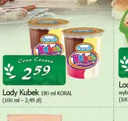Cezar Delikatesy Lody Kubek Koral oferta