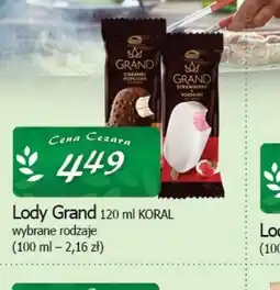 Cezar Delikatesy Lody Grand oferta
