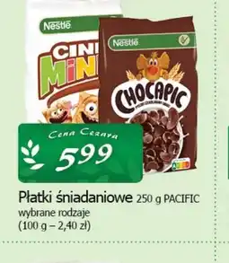 Płatki śniadaniowe