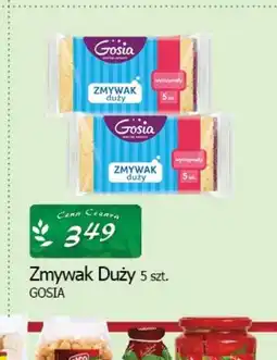 Zmywak Duży