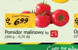 Pomidor malinowy