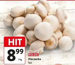 Intermarche Pieczarki oferta