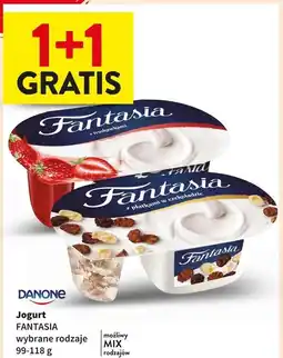 Intermarche Jogurt z płatkami w czekoladzie Danone Fantasia oferta