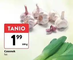 Intermarche Czosnek oferta